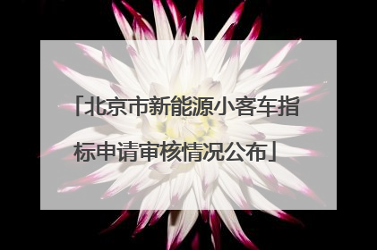 北京市新能源小客车指标申请审核情况公布