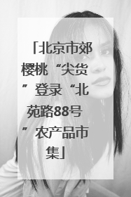 北京市郊樱桃“尖货”登录“北苑路88号”农产品市集