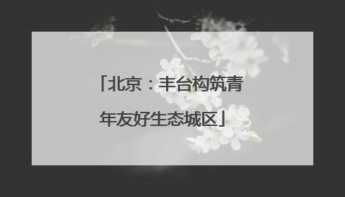 北京：丰台构筑青年友好生态城区