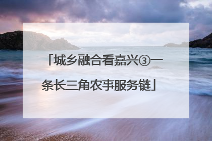 城乡融合看嘉兴③一条长三角农事服务链