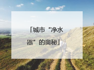 城市“净水器”的奥秘