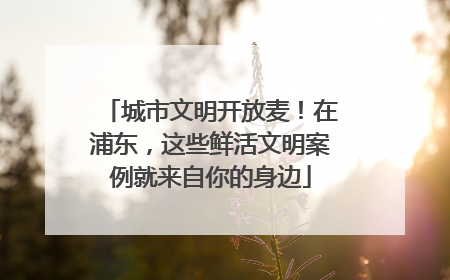 城市文明开放麦！在浦东，这些鲜活文明案例就来自你的身边