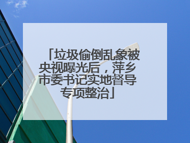 垃圾偷倒乱象被央视曝光后，萍乡市委书记实地督导专项整治