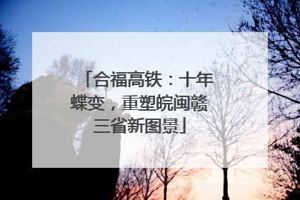 合福高铁：十年蝶变，重塑皖闽赣三省新图景