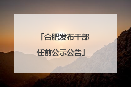 合肥发布干部任前公示公告