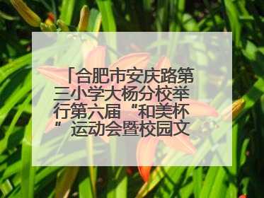 合肥市安庆路第三小学大杨分校举行第六届“和美杯”运动会暨校园文化艺术节
