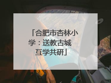 合肥市杏林小学：送教古城 互学共研