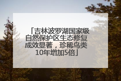 吉林波罗湖国家级自然保护区生态修复成效显著，珍稀鸟类10年增加5倍