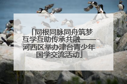 同根同脉同舟筑梦 互学互助传承共融——河西区举办津台青少年国学交流活动