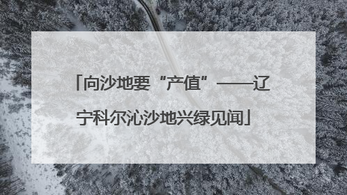 向沙地要“产值”——辽宁科尔沁沙地兴绿见闻