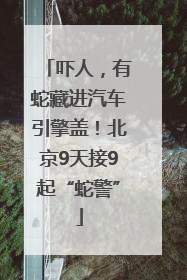 吓人，有蛇藏进汽车引擎盖！北京9天接9起“蛇警”
