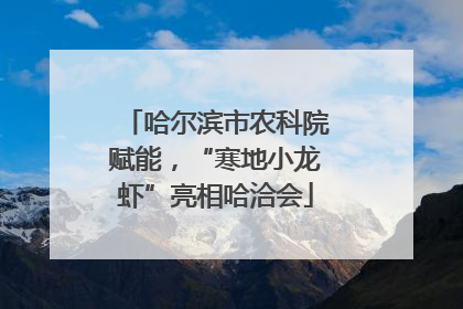 哈尔滨市农科院赋能，“寒地小龙虾”亮相哈洽会