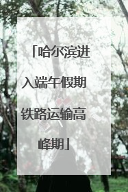 哈尔滨进入端午假期铁路运输高峰期
