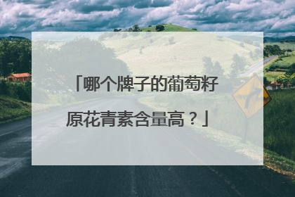 哪个牌子的葡萄籽原花青素含量高？