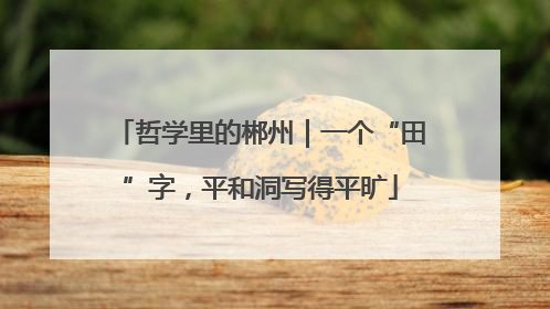 哲学里的郴州｜一个“田”字，平和洞写得平旷