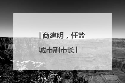 商建明，任盐城市副市长