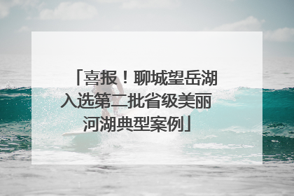喜报！聊城望岳湖入选第二批省级美丽河湖典型案例