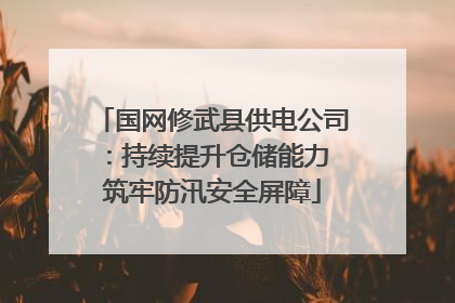 国网修武县供电公司：持续提升仓储能力 筑牢防汛安全屏障
