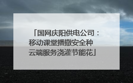 国网庆阳供电公司：移动课堂播撒安全种 云端服务浇灌节能花