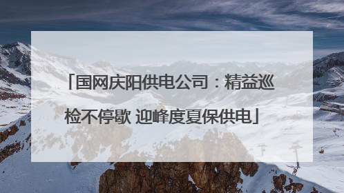 国网庆阳供电公司：精益巡检不停歇 迎峰度夏保供电