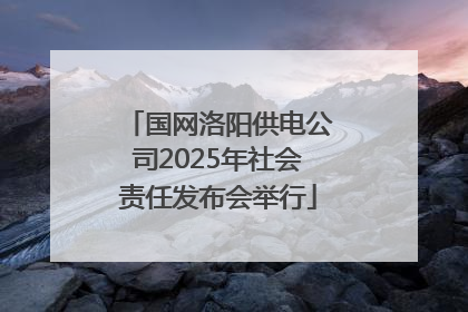 国网洛阳供电公司2025年社会责任发布会举行