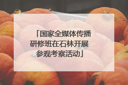 国家全媒体传播研修班在石林开展参观考察活动