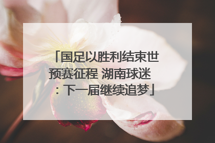 国足以胜利结束世预赛征程 湖南球迷：下一届继续追梦