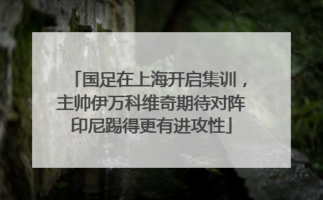 国足在上海开启集训，主帅伊万科维奇期待对阵印尼踢得更有进攻性