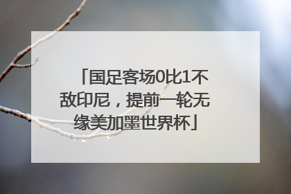 国足客场0比1不敌印尼，提前一轮无缘美加墨世界杯