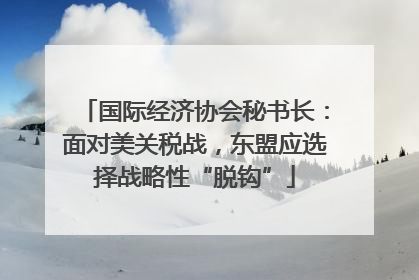 国际经济协会秘书长：面对美关税战，东盟应选择战略性“脱钩”
