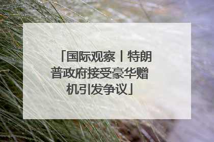 国际观察丨特朗普政府接受豪华赠机引发争议