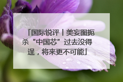 国际锐评丨美妄图扼杀“中国芯”过去没得逞，将来更不可能