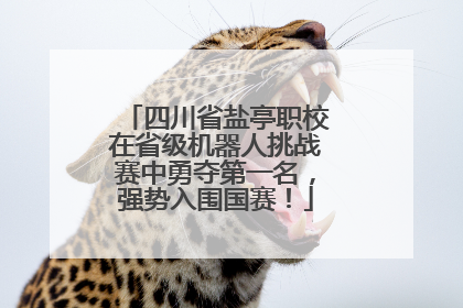四川省盐亭职校在省级机器人挑战赛中勇夺第一名，强势入围国赛！
