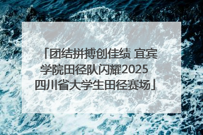 团结拼搏创佳绩 宜宾学院田径队闪耀2025四川省大学生田径赛场