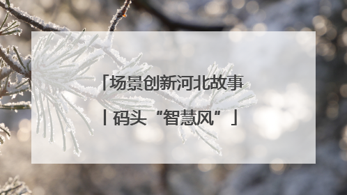 场景创新河北故事丨码头“智慧风”