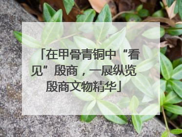 在甲骨青铜中“看见”殷商，一展纵览殷商文物精华