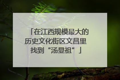 在江西规模最大的历史文化街区文昌里找到“汤显祖”