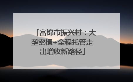 富锦市振兴村：大垄密植+全程托管走出增收新路径