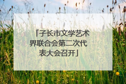 子长市文学艺术界联合会第二次代表大会召开