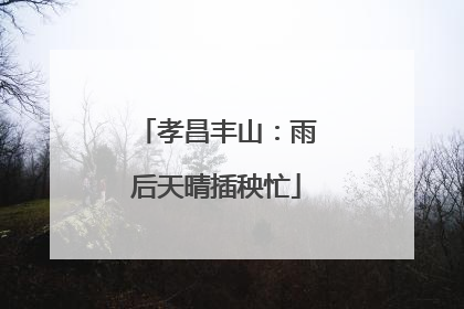 孝昌丰山：雨后天晴插秧忙