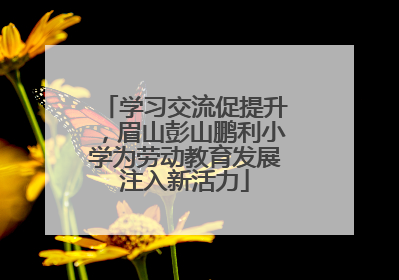 学习交流促提升，眉山彭山鹏利小学为劳动教育发展注入新活力