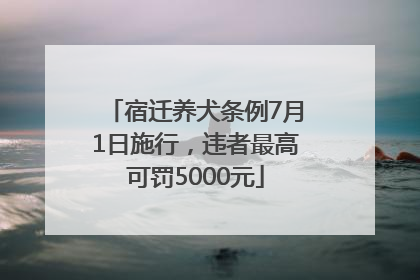 宿迁养犬条例7月1日施行，违者最高可罚5000元