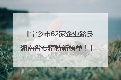 宁乡市62家企业跻身湖南省专精特新榜单！