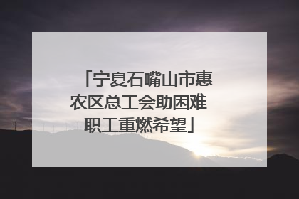 宁夏石嘴山市惠农区总工会助困难职工重燃希望