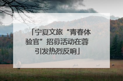 宁夏文旅“青春体验官”招募活动在蓉引发热烈反响