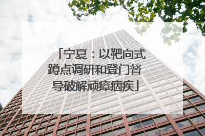 宁夏：以靶向式蹲点调研和登门督导破解顽瘴痼疾