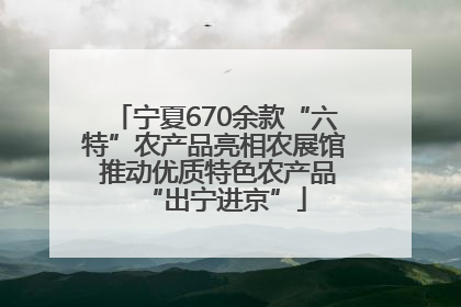 宁夏670余款“六特”农产品亮相农展馆 推动优质特色农产品“出宁进京”