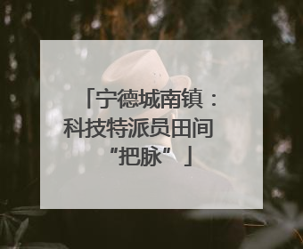 宁德城南镇：科技特派员田间“把脉”