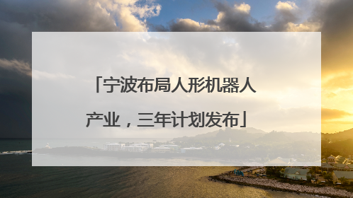 宁波布局人形机器人产业，三年计划发布