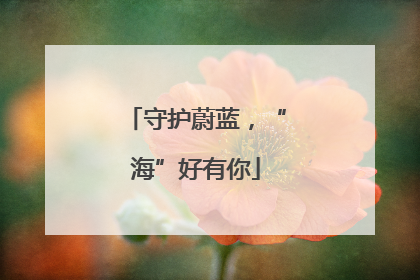 守护蔚蓝，“海”好有你
